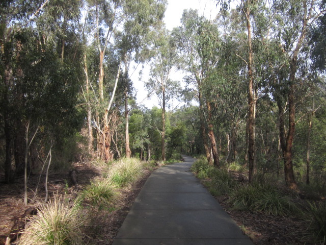 An image of the path of Gardiners Creek Walk in Ashwood